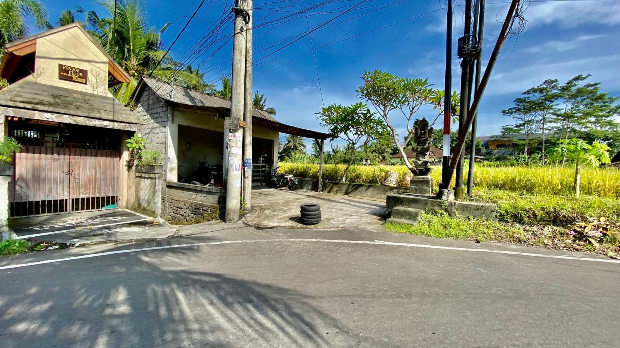 Villa Magica Ubud Eksteriør bilde