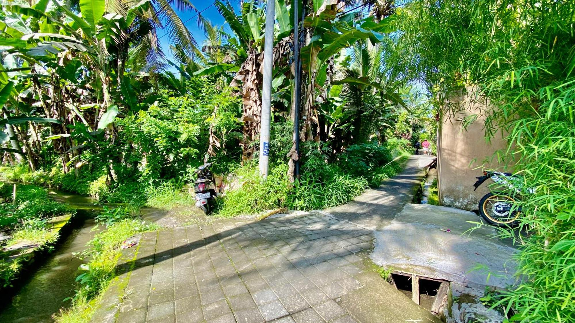 Villa Magica Ubud Eksteriør bilde